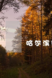 哈尔滨市法律援助哪家好 哈尔滨市法律援助哪家好
