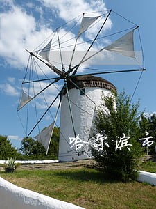 哈尔滨市法院王兆华