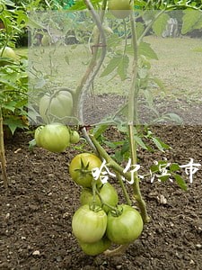 哈尔滨市道里区人民法院电话 哈尔滨市道里区人民法院电话