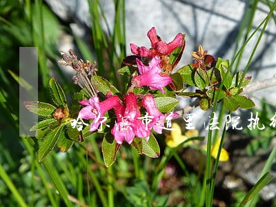 哈尔滨市道里法院执行局