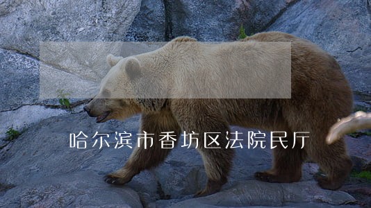 哈尔滨市香坊区法院民厅 哈尔滨市香坊区法院民厅