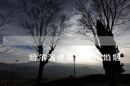 哈尔滨律师事务所婚姻