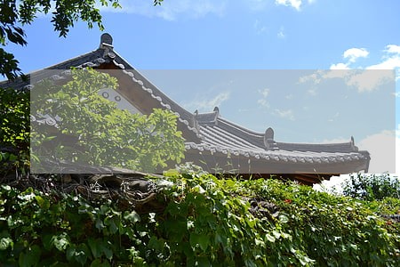 哈尔滨律师会见咨询 哈尔滨律师会见咨询