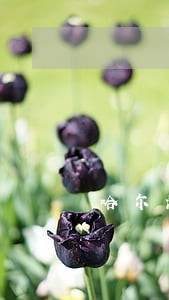 哈尔滨房产律师去哪里找 哈尔滨房产律师去哪里找
