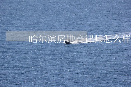 哈尔滨房地产律师怎么样 哈尔滨房地产律师怎么样