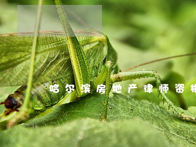 哈尔滨房地产律师资格 哈尔滨房地产律师资格