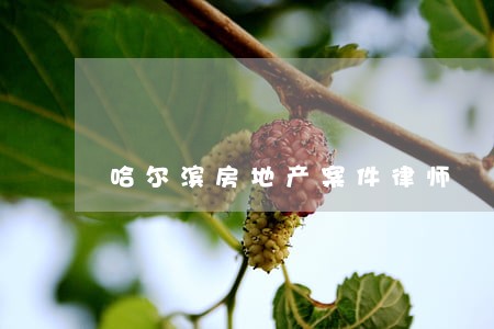 哈尔滨房地产案件律师 哈尔滨房地产案件律师