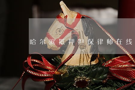 哈尔滨抵押担保律师在线解答 哈尔滨抵押担保律师在线解答