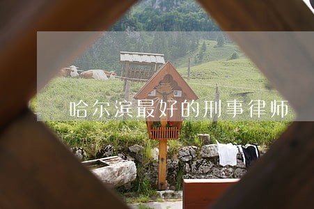 哈尔滨最好的刑事律师 哈尔滨最好的刑事律师