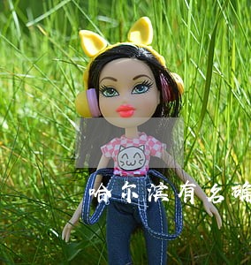 哈尔滨有名确权纠纷律师 哈尔滨有名确权纠纷律师