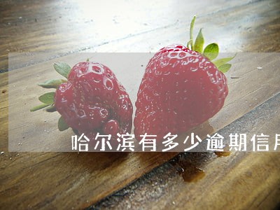 哈尔滨有多少逾期信用卡的