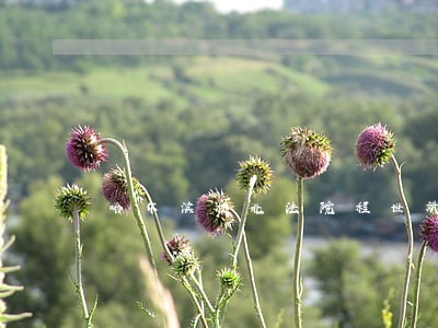哈尔滨松北法院程世斌 哈尔滨松北法院程世斌