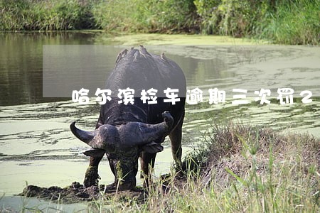 哈尔滨检车逾期三次罚2000