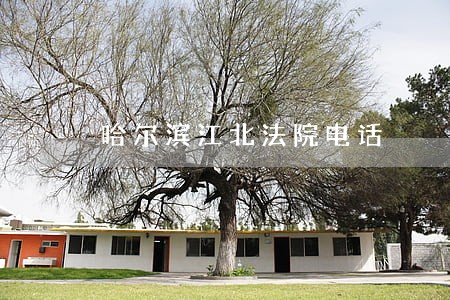 哈尔滨江北法院电话 哈尔滨江北法院电话