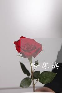 哈尔滨法院书记员招聘信息