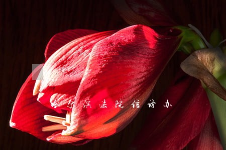 哈尔滨法院信访办 哈尔滨法院信访办
