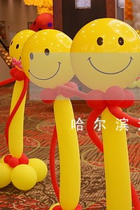 哈尔滨法院李少波