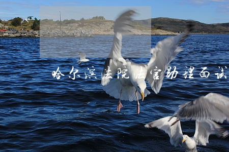 哈尔滨法院法官助理面试成绩 哈尔滨法院法官助理面试成绩