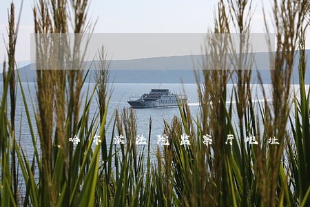 哈尔滨法院监察厅地址 哈尔滨法院监察厅地址