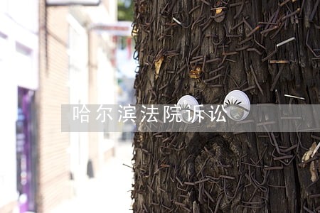 哈尔滨法院诉讼