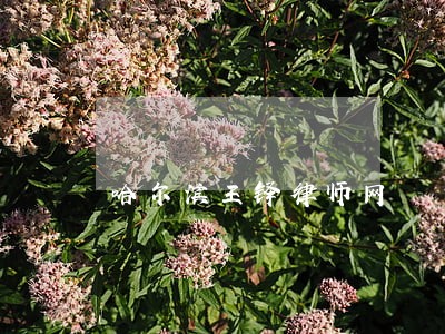 哈尔滨王铎律师网