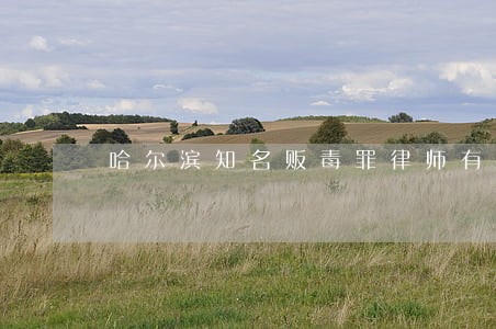 哈尔滨知名贩毒罪律师有哪些 哈尔滨知名贩毒罪律师有哪些