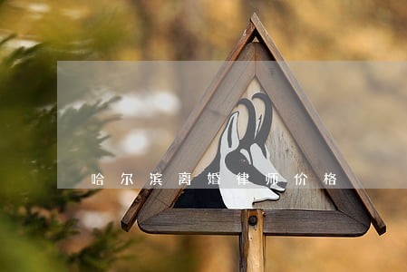 哈尔滨离婚律师价格 哈尔滨离婚律师价格