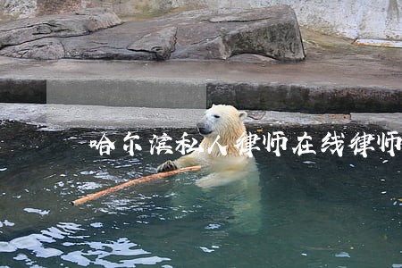 哈尔滨私人律师在线律师