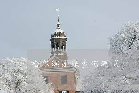 哈尔滨违法查询测试 哈尔滨违法查询测试