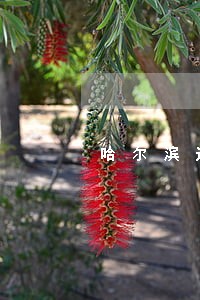 哈尔滨道里房产律师 哈尔滨道里房产律师