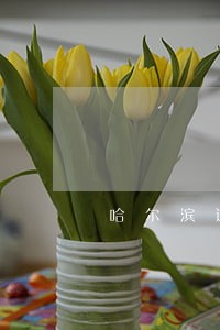 哈尔滨道里法院不公