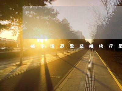 哈尔滨道里法院执行局王颖 哈尔滨道里法院执行局王颖