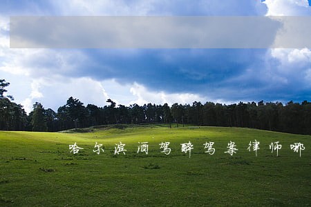 哈尔滨酒驾醉驾案律师哪个好
