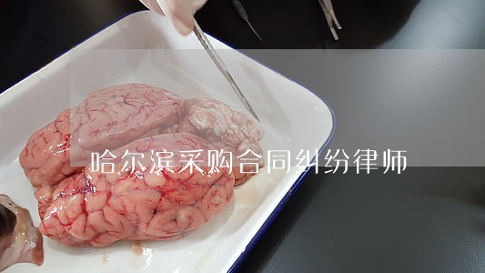 哈尔滨采购合同纠纷律师 哈尔滨采购合同纠纷律师