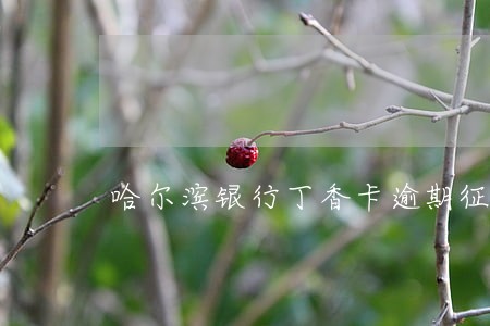 哈尔滨银行丁香卡逾期征信 哈尔滨银行丁香卡逾期征信