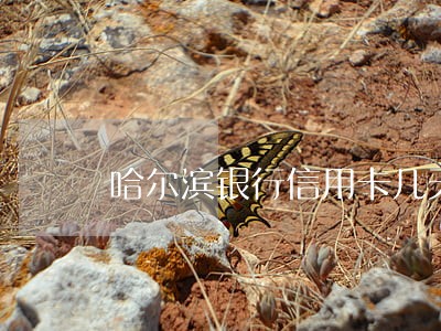 哈尔滨银行信用卡几天逾期是