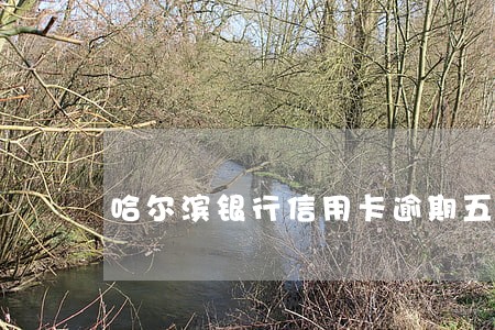 哈尔滨银行信用卡逾期五天 哈尔滨银行信用卡逾期五天