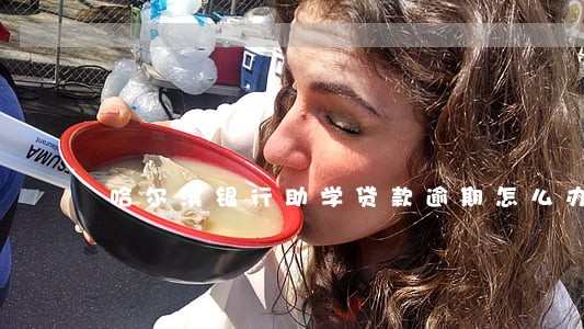 哈尔滨银行助学贷款逾期怎么办 哈尔滨银行助学贷款逾期怎么办
