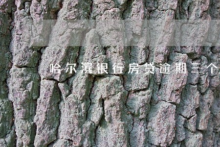 哈尔滨银行房贷逾期三个月 哈尔滨银行房贷逾期三个月
