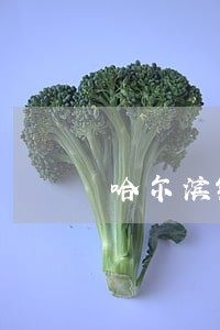 哈尔滨银行贷款逾期怎么办理 哈尔滨银行贷款逾期怎么办理