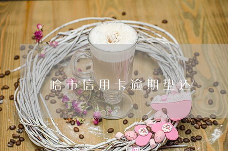 哈市信用卡逾期垫还 哈市信用卡逾期垫还