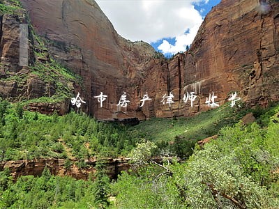哈市房产律师收费 哈市房产律师收费