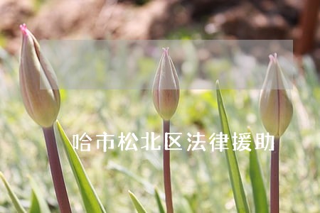 哈市松北区法律援助 哈市松北区法律援助
