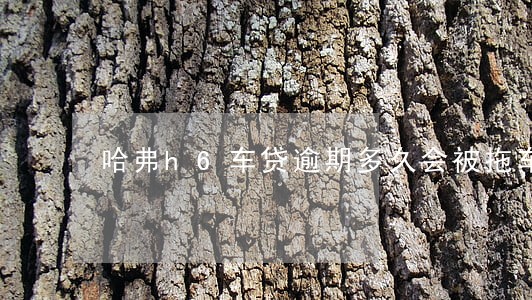 哈弗h6车贷逾期多久会被拖车