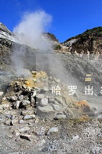 哈罗出行逾期对信用影响 哈罗出行逾期对信用影响
