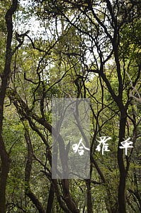 哈罗单车逾期影响信用吗 哈罗单车逾期影响信用吗