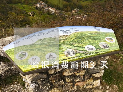 哈银消费逾期3天