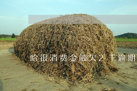 哈银消费金融欠2千逾期 哈银消费金融欠2千逾期