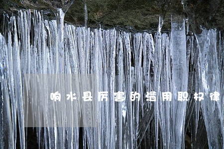 响水县厉害的滥用职权律师 响水县厉害的滥用职权律师