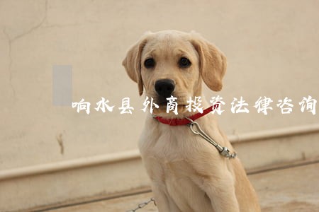响水县外商投资法律咨询热线 响水县外商投资法律咨询热线